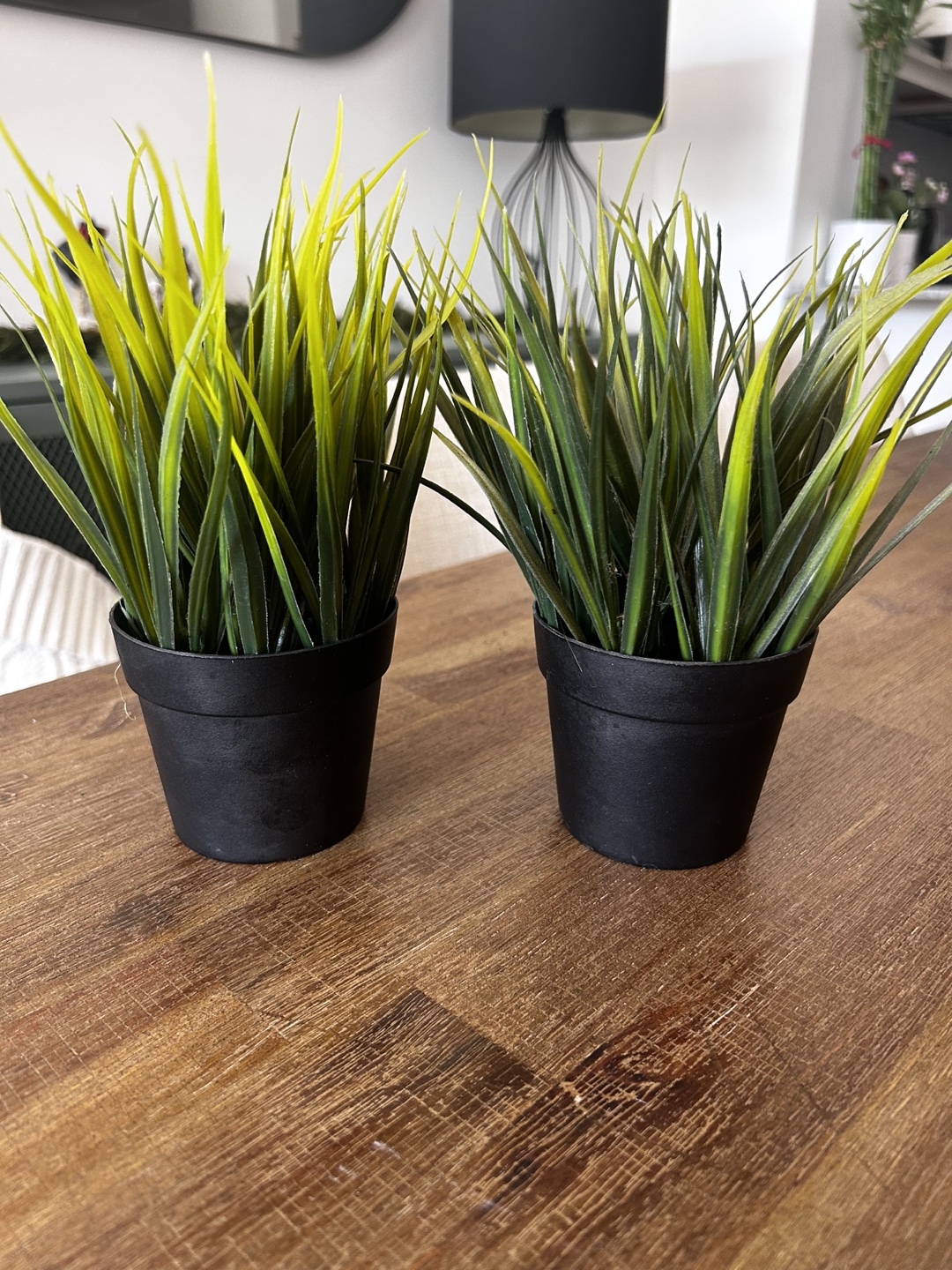 IKEA - (2 for $4) Artificial Green Plants in Black Pots