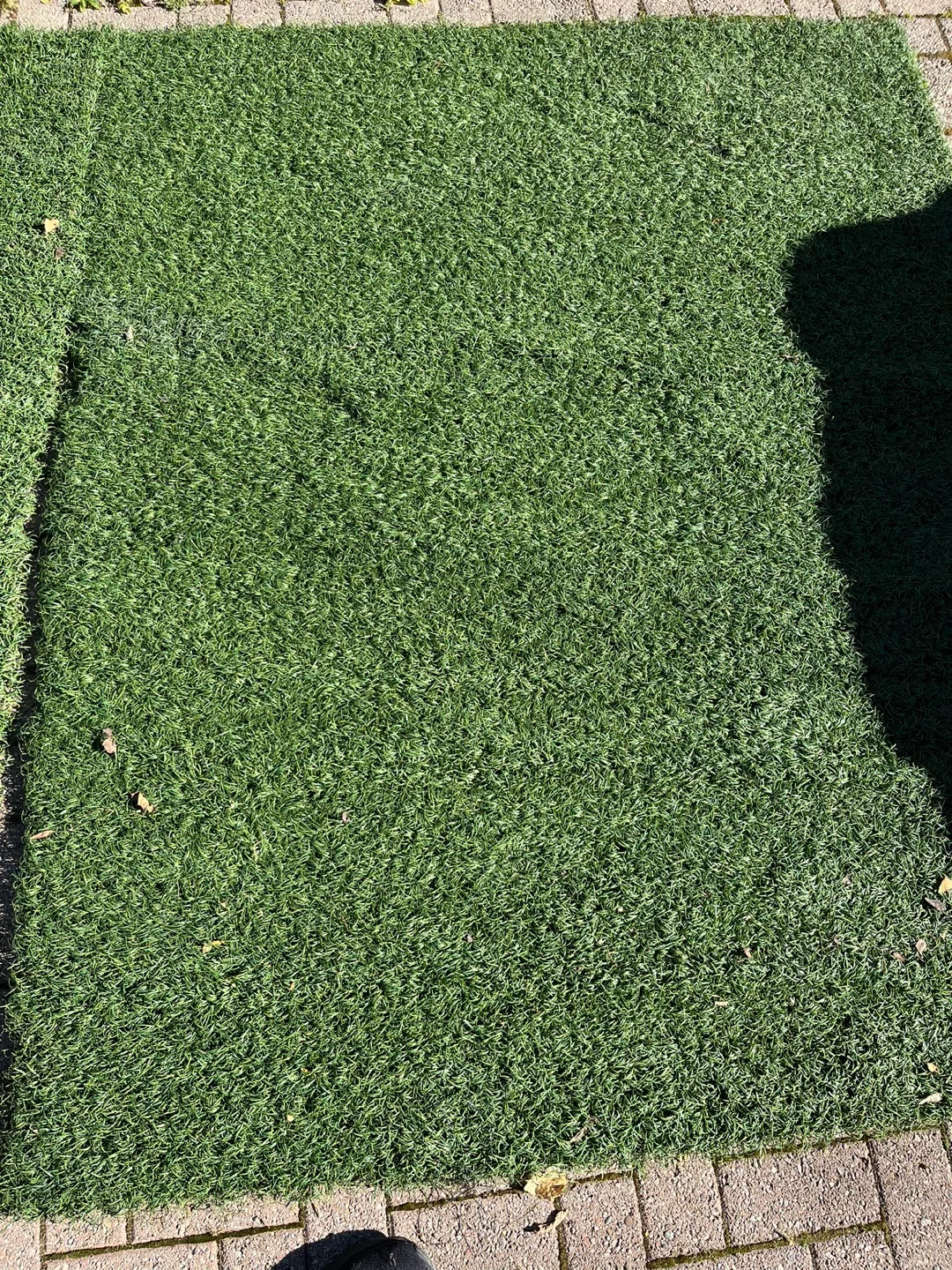 Artificial Grass image indicator(3)