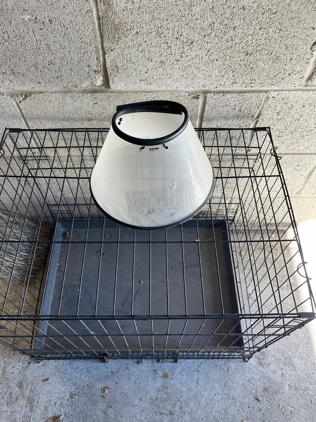 Dog Crate image indicator(3)