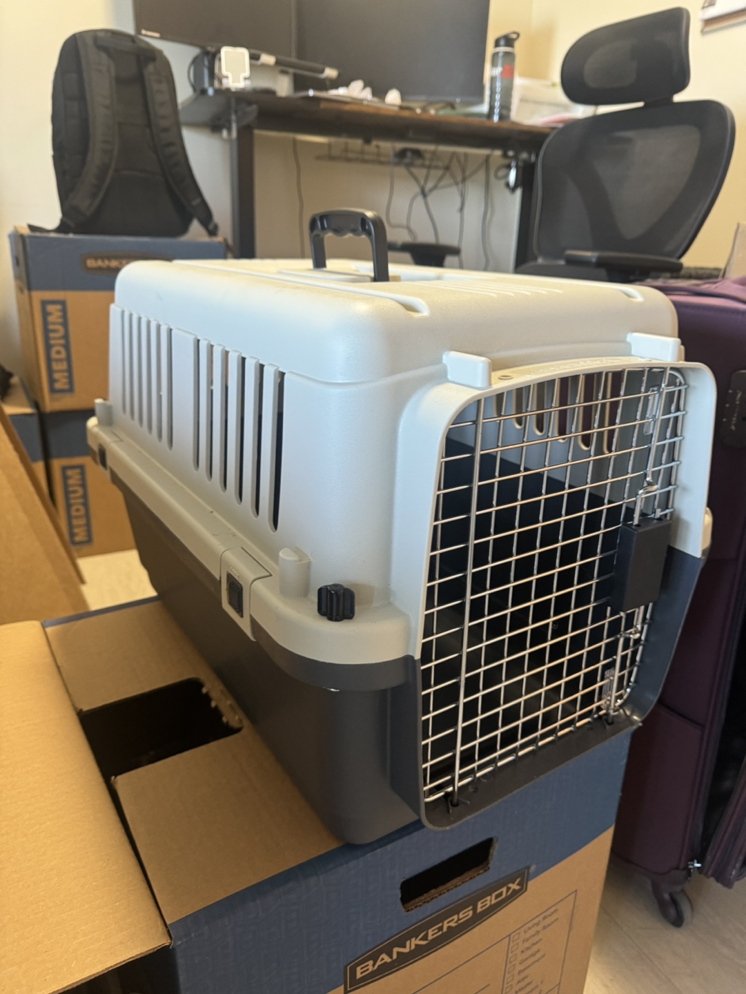Pet Carrier