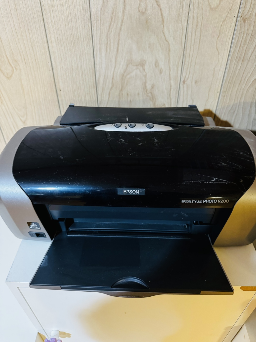 Epson Stylus Photo R200 Printer - photo 2