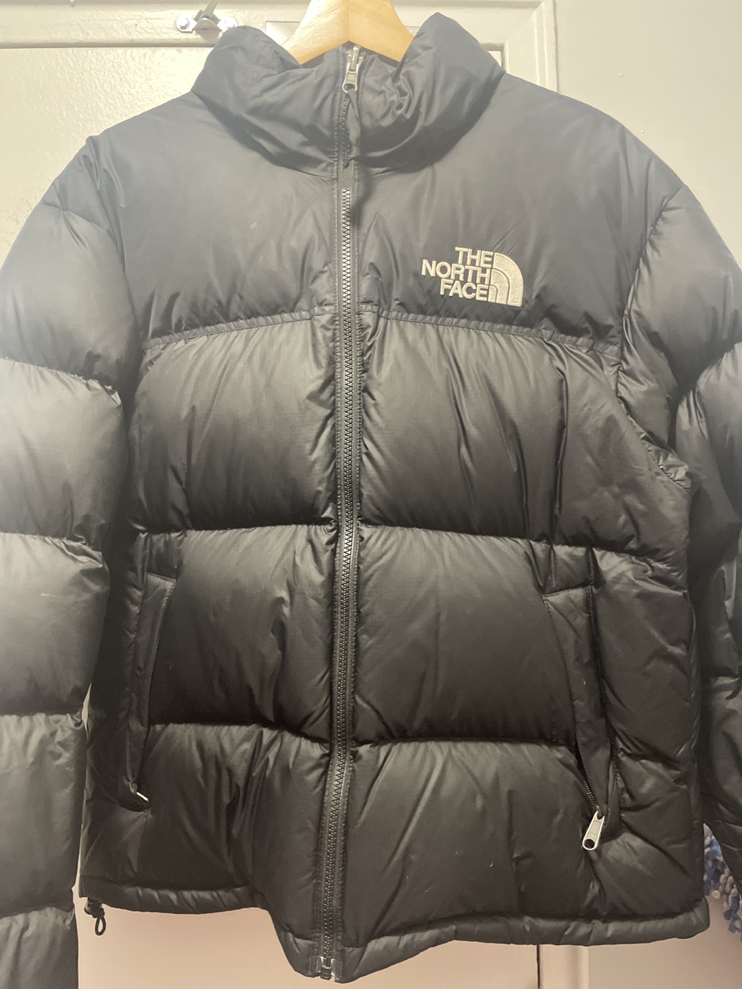 The North Face 700 Fill Down Jacket