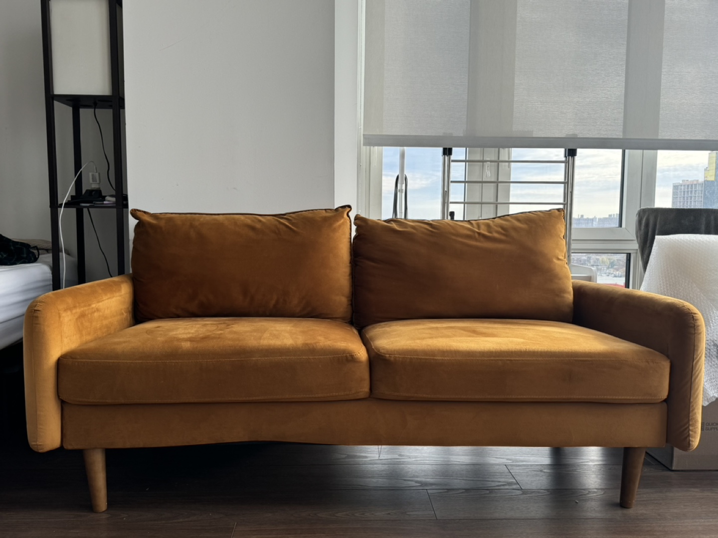 Velvet Sofa/Couch