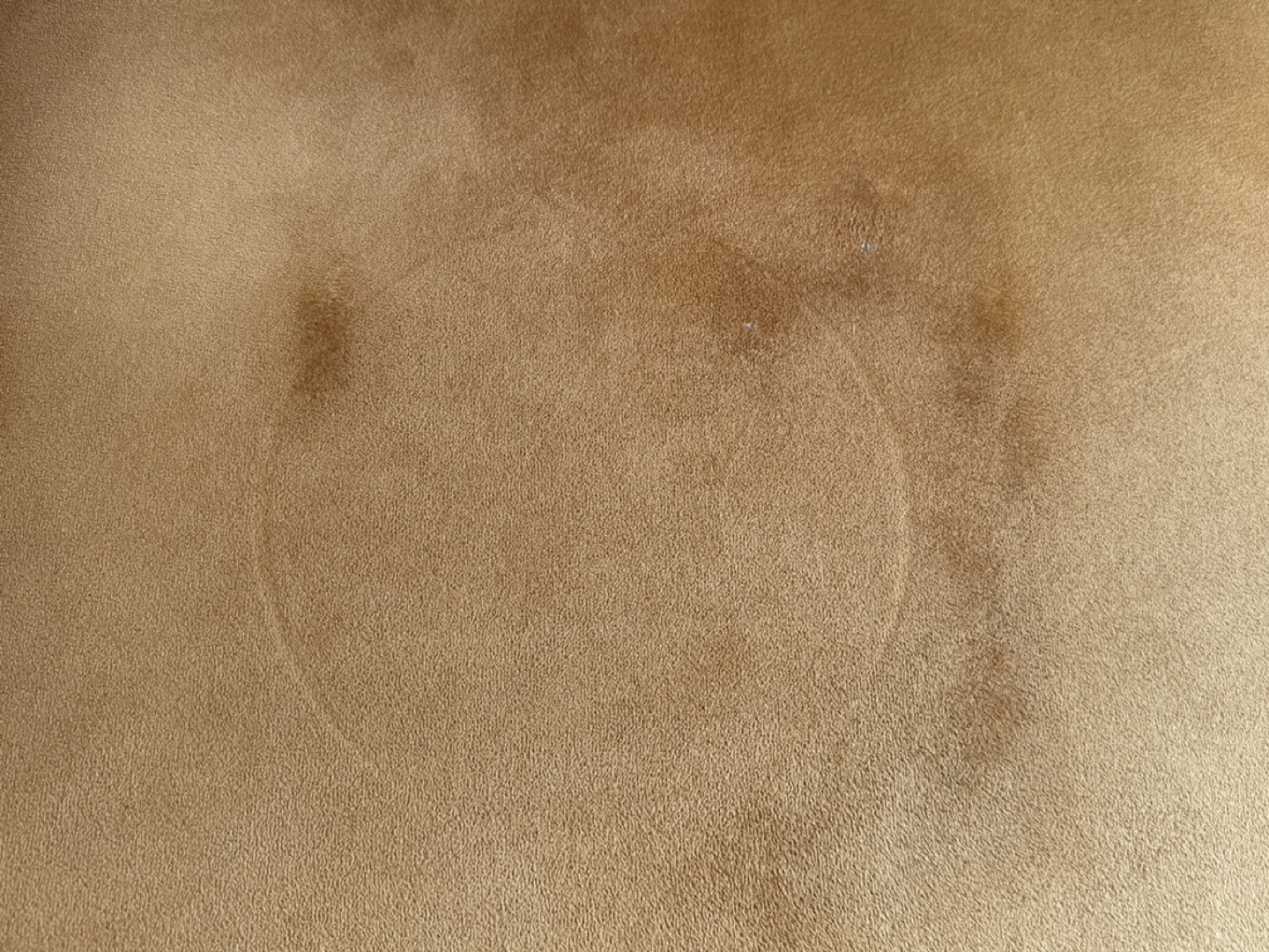 Velvet Sofa/Couch - photo 3