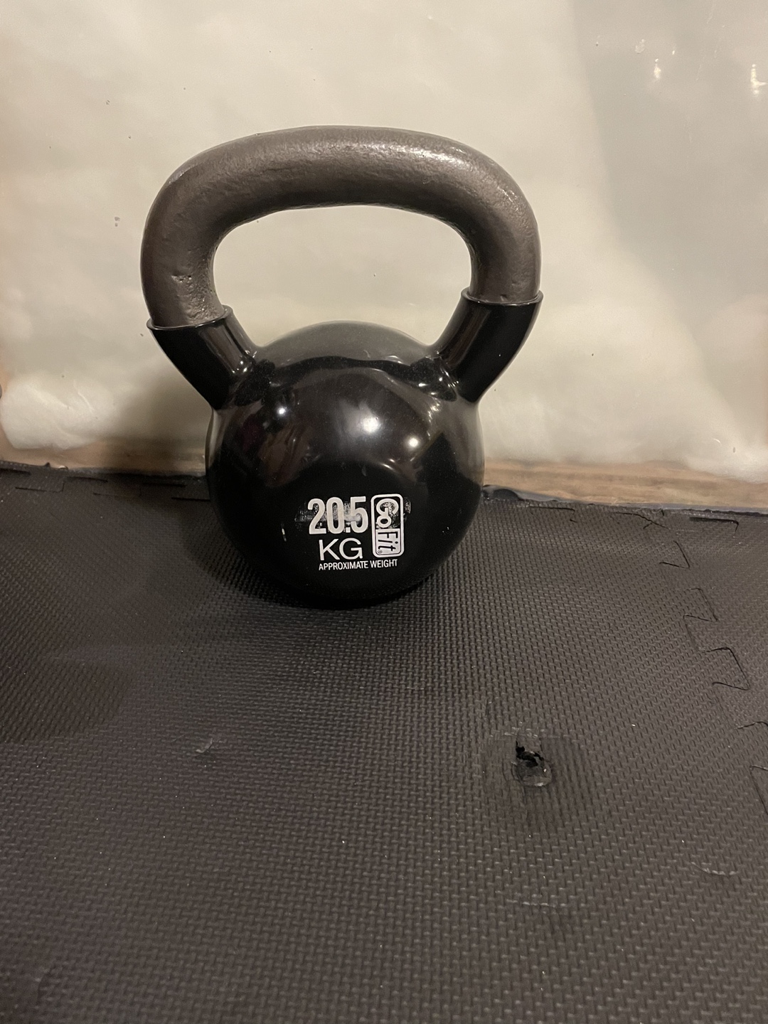 20.5 KG Kettlebell