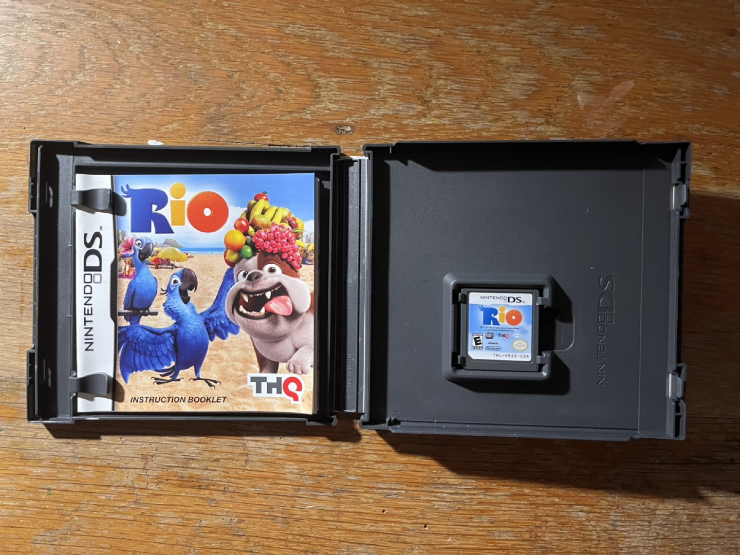 Rio Nintendo DS Game - photo 2