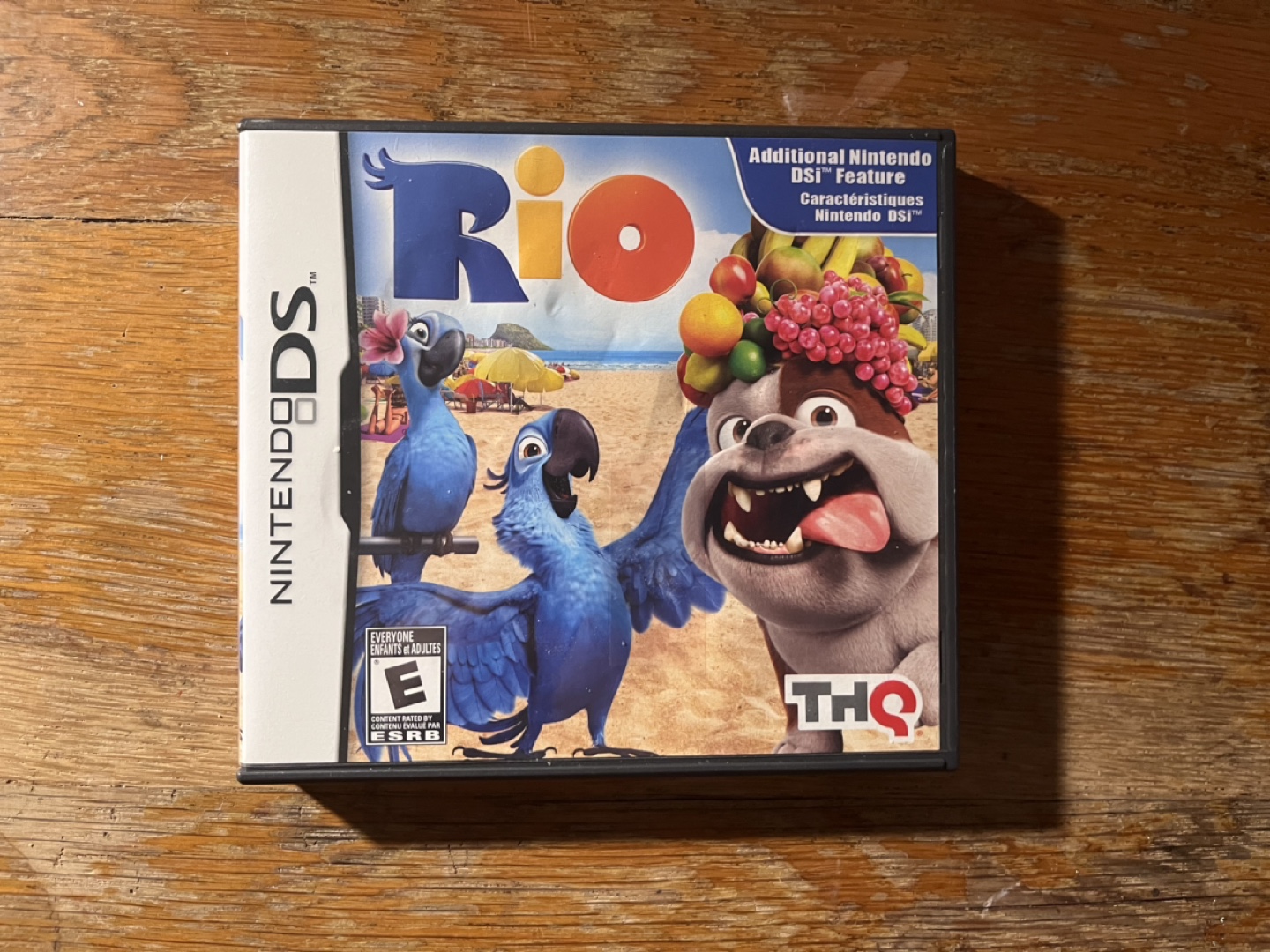Rio Nintendo DS Game
