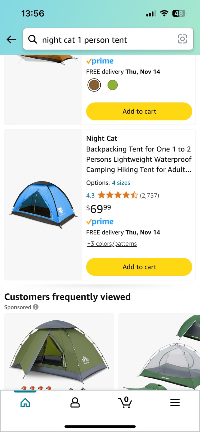 Night Cat Backpacking Tent - photo 2