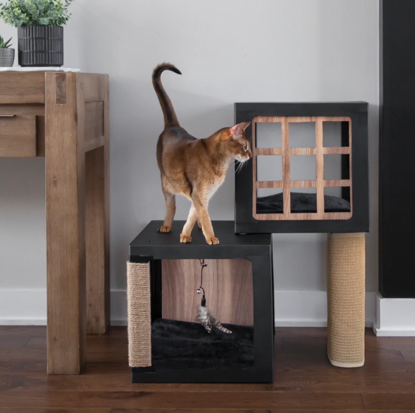 BeOneBreed Habikatt Cat Condo