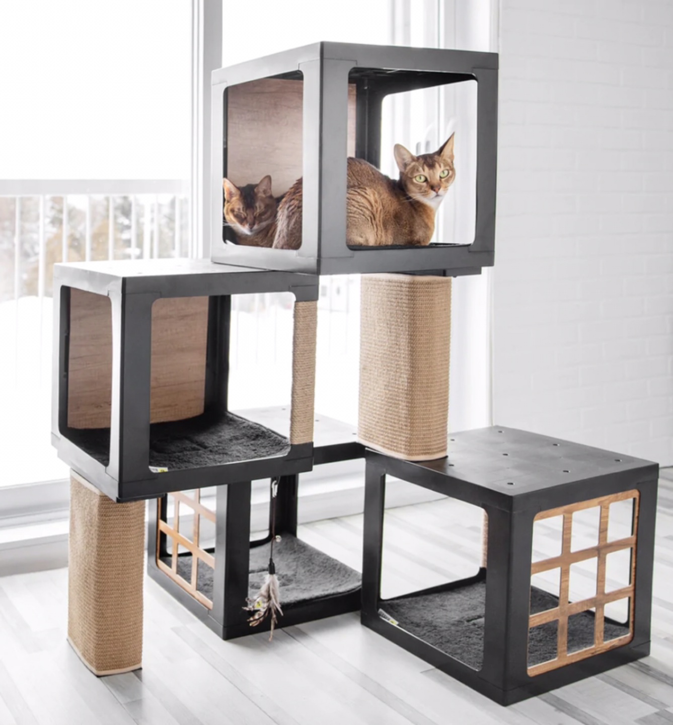 BeOneBreed Habikatt Cat Condo - photo 4