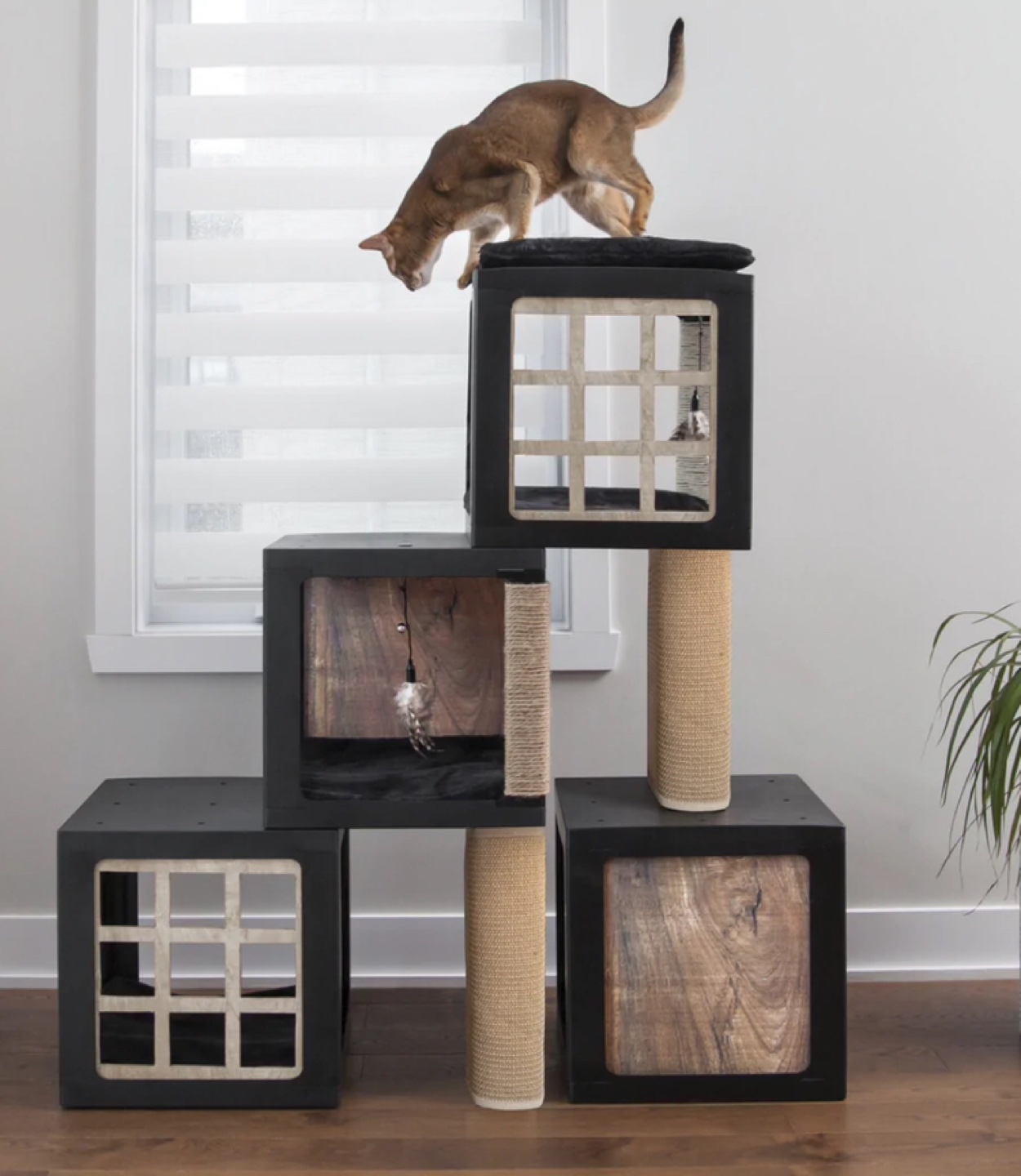 BeOneBreed Habikatt Cat Condo - photo 3