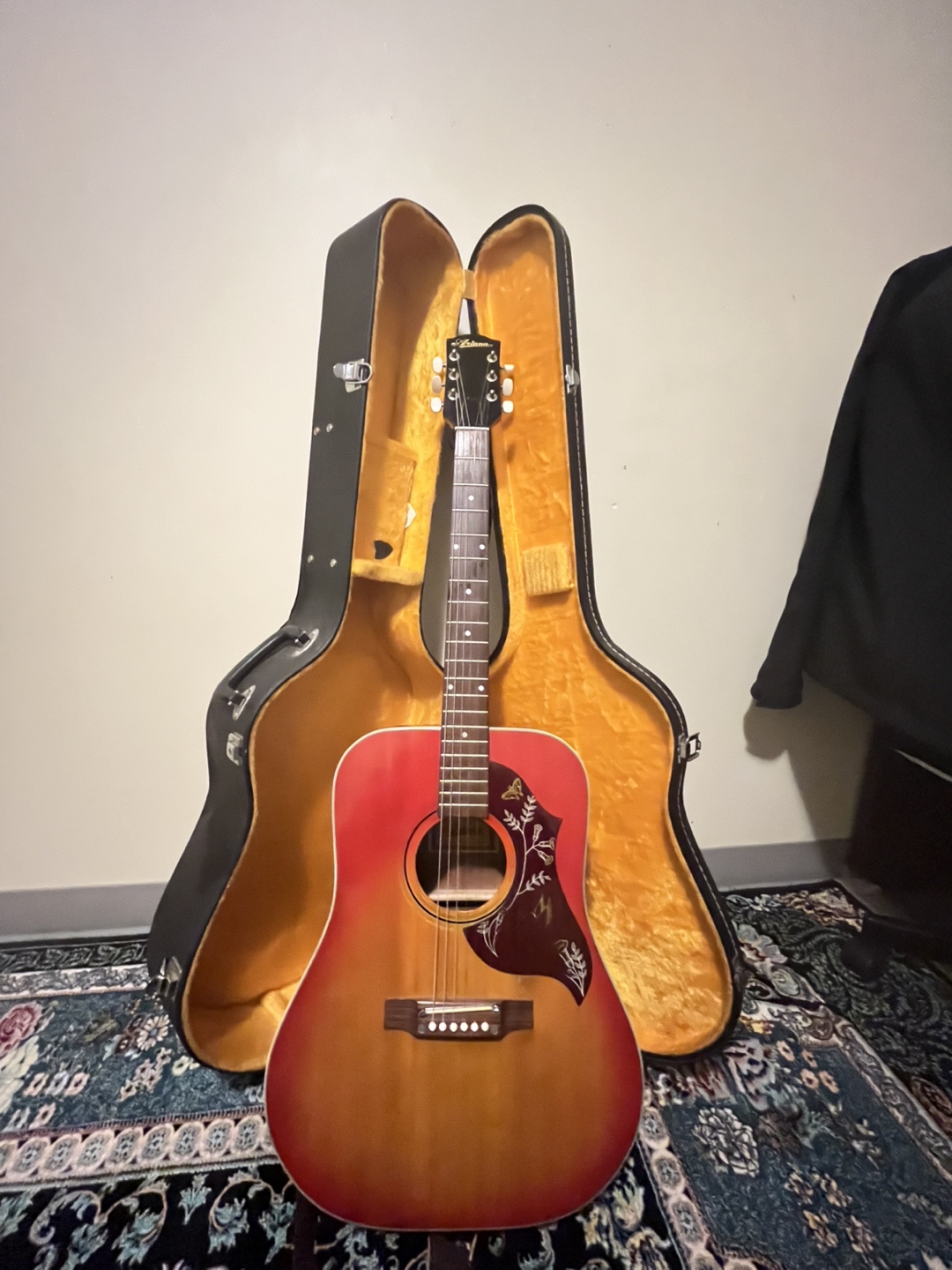 Ariana Acoustic Guitar with Case - photo 3