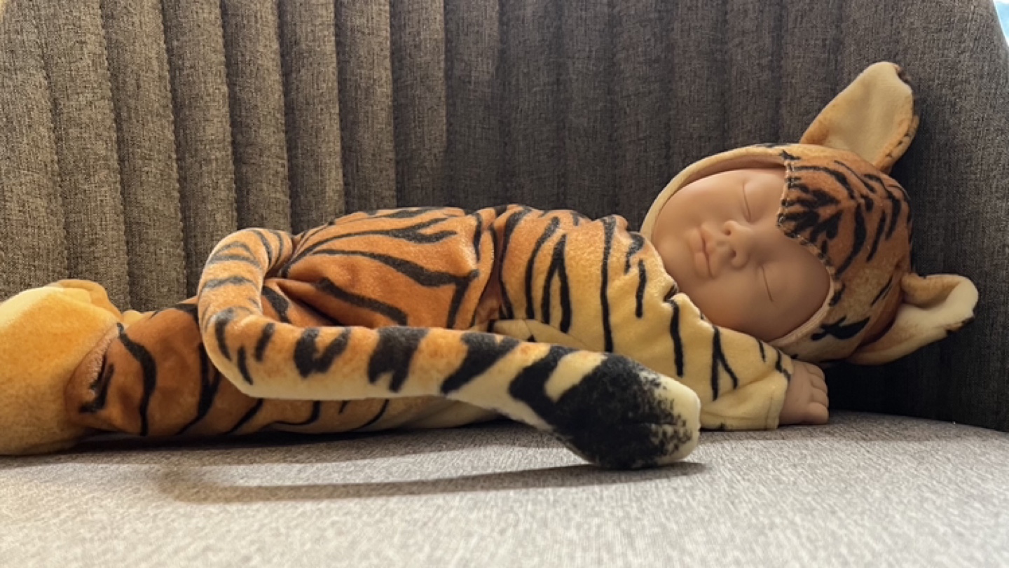 Vintage Anne Geddes Baby Tiger Newborn Collectible