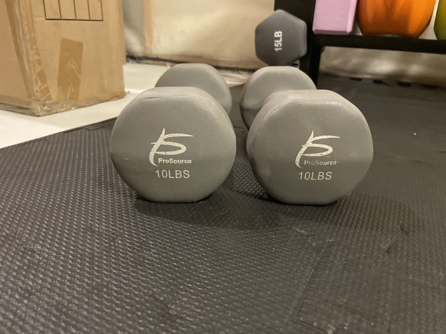 ProSource 10lb Dumbbells