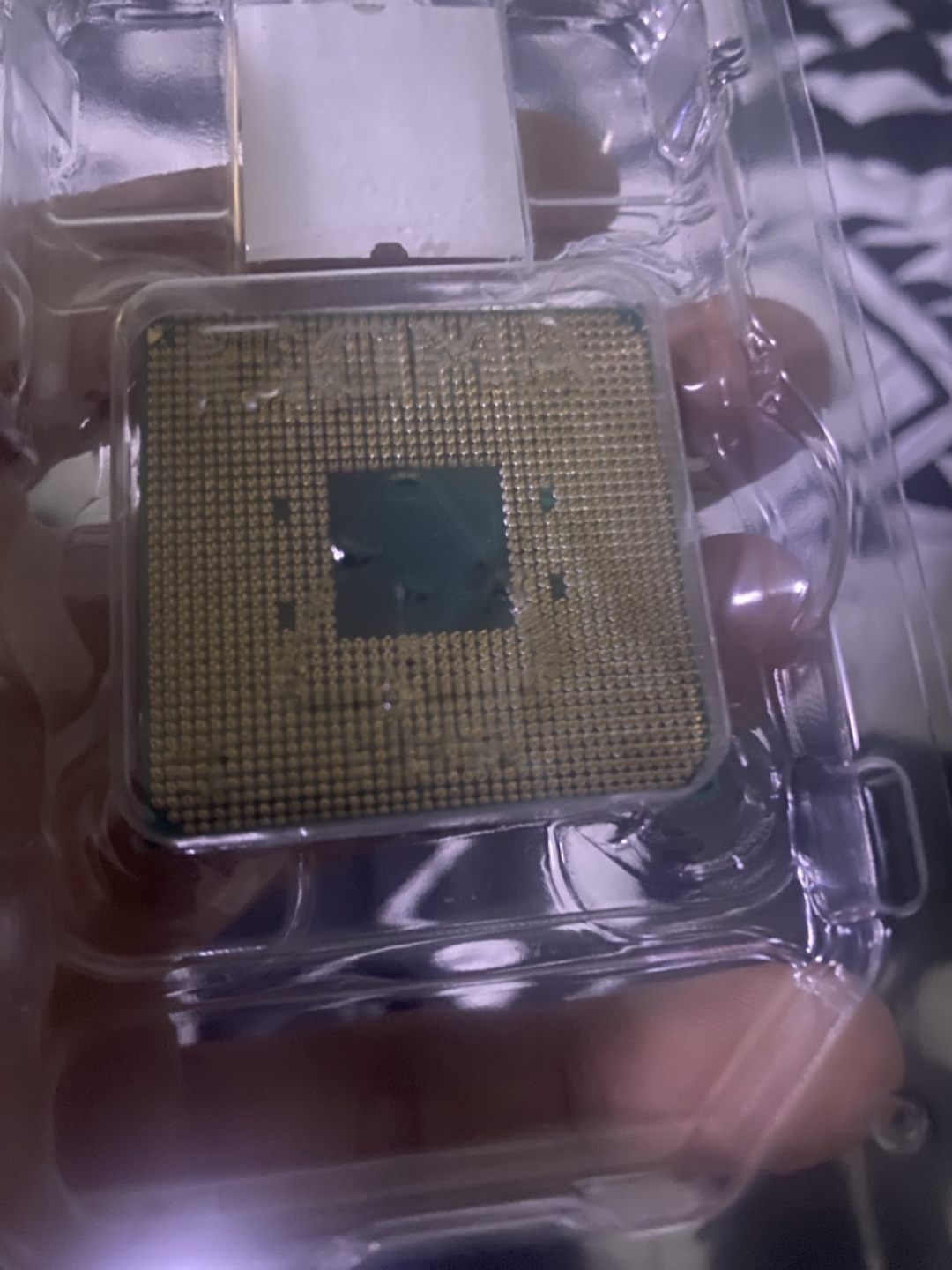 AMD Ryzen 5 5600G Processor - photo 3