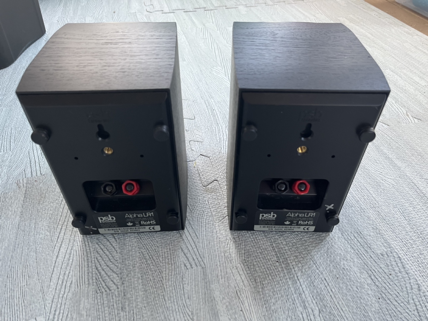 PSB Surround Speakers - photo 3