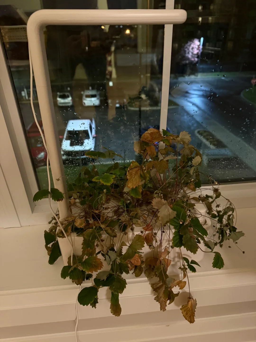 Indoor Hydroponic Garden System image indicator(2)