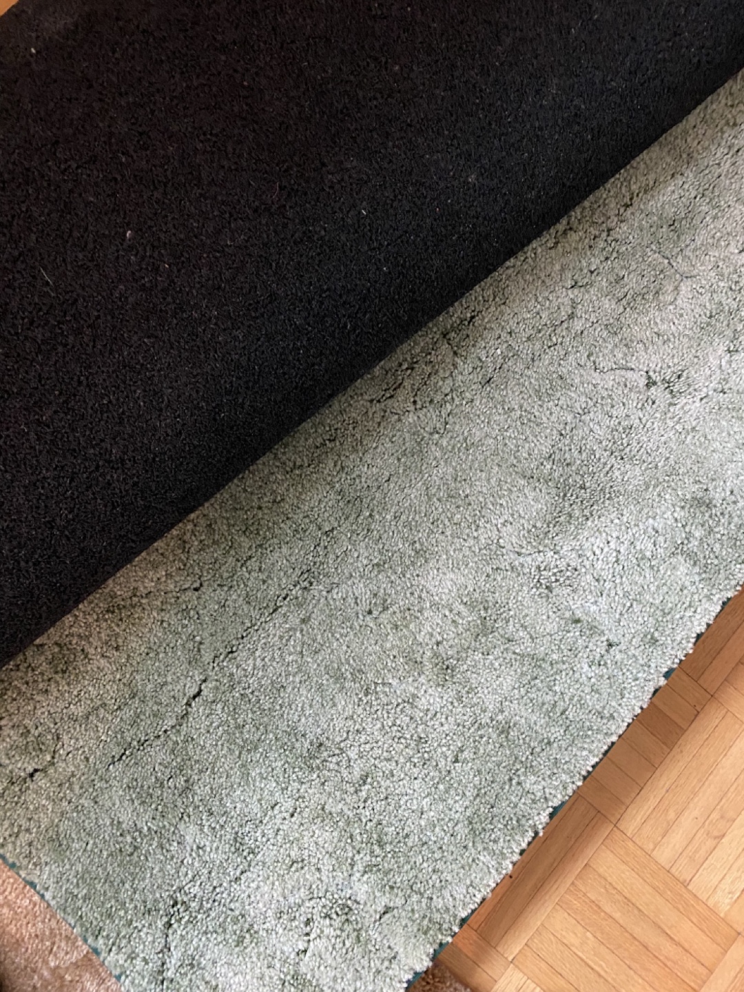 Green Shag Area Rug