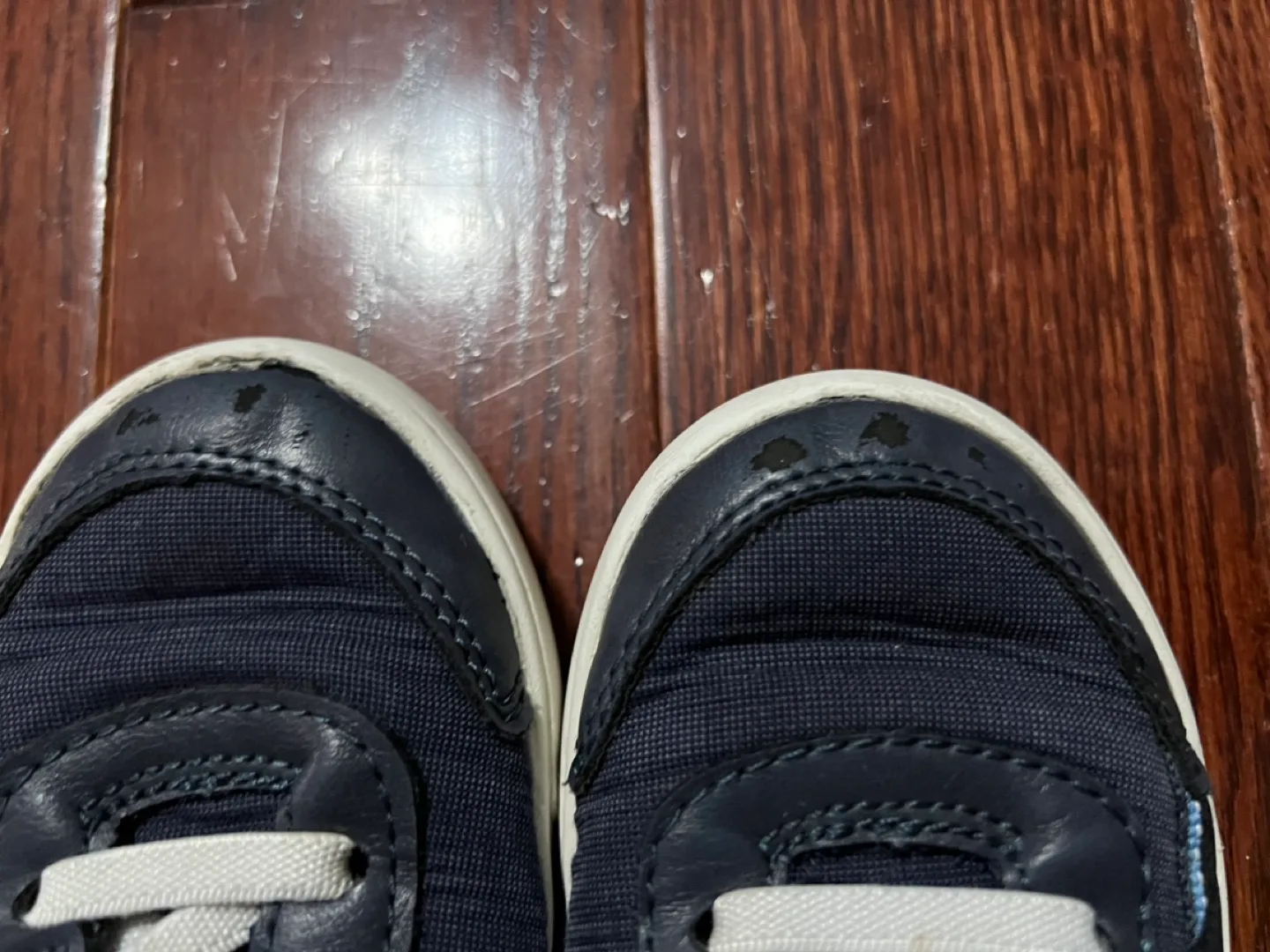 Boys' Shoes - Size 8 to 12 image indicator(3)