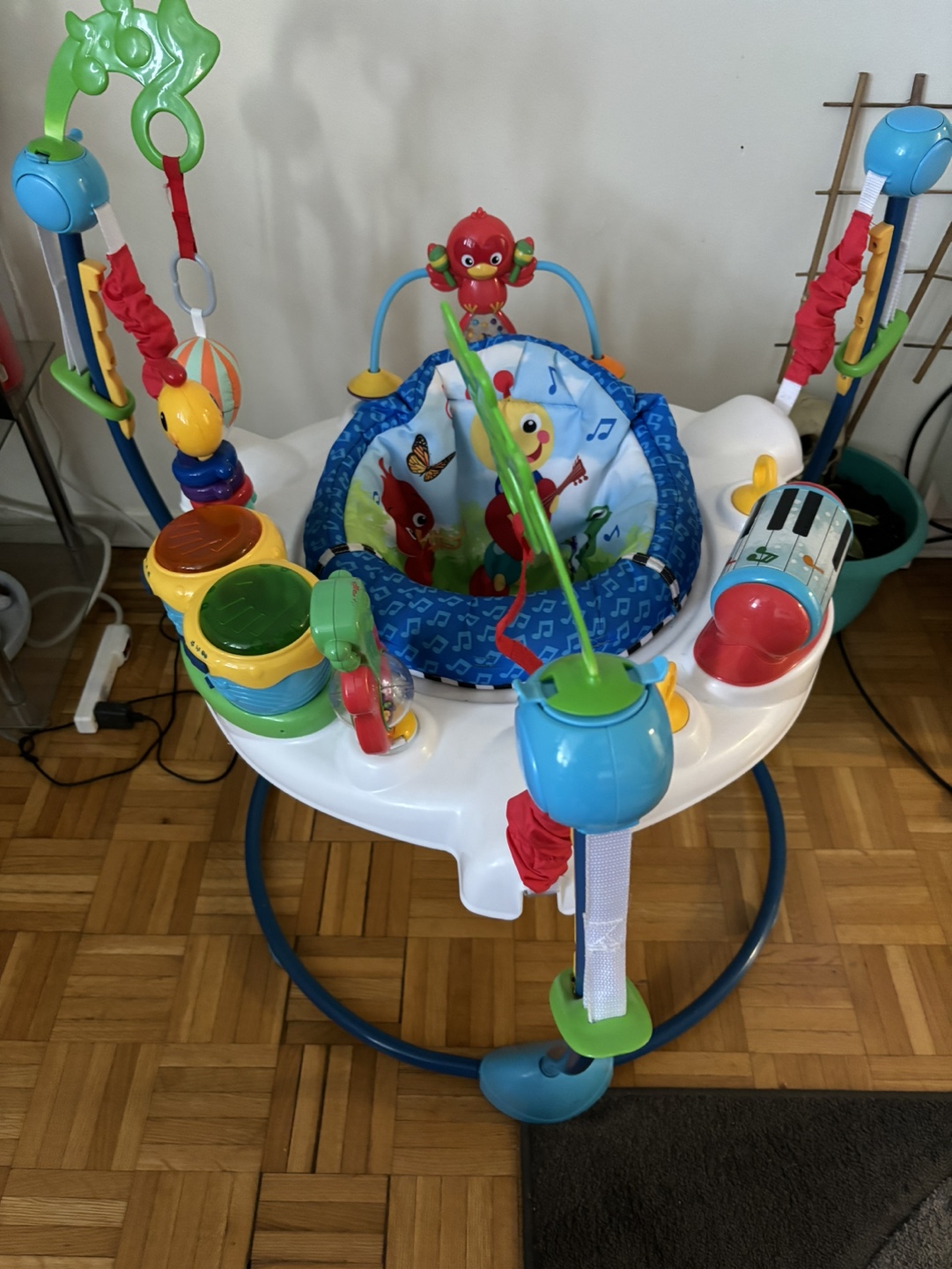 Baby Einstein Neighborhood Symphony Activity Jumper