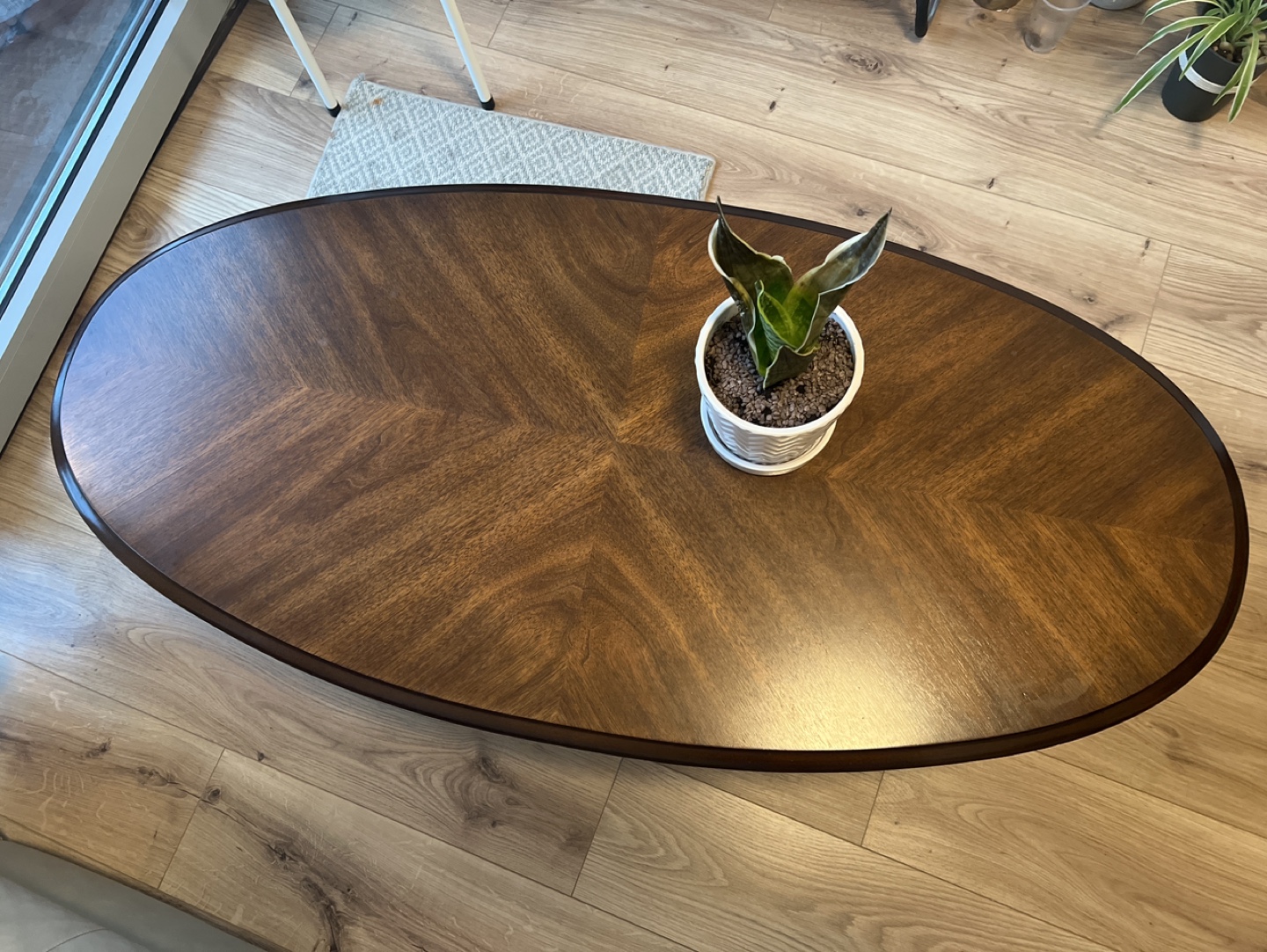 Oval Wood designer Coffee Table