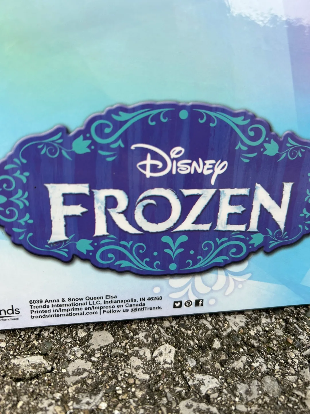 Disney Frozen Anna and Elsa large Picture image indicator(2)