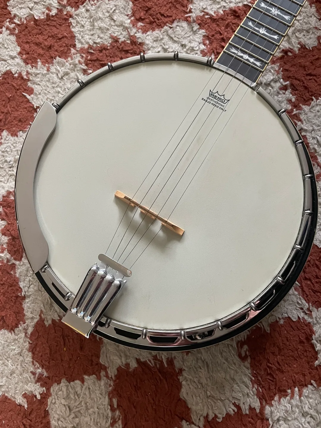 FB58 Fender 5-string resonator banjo image indicator(5)