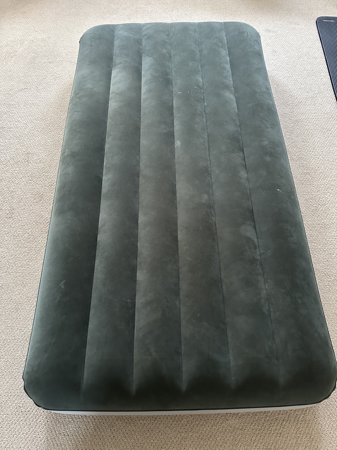 Twin Air Mattress