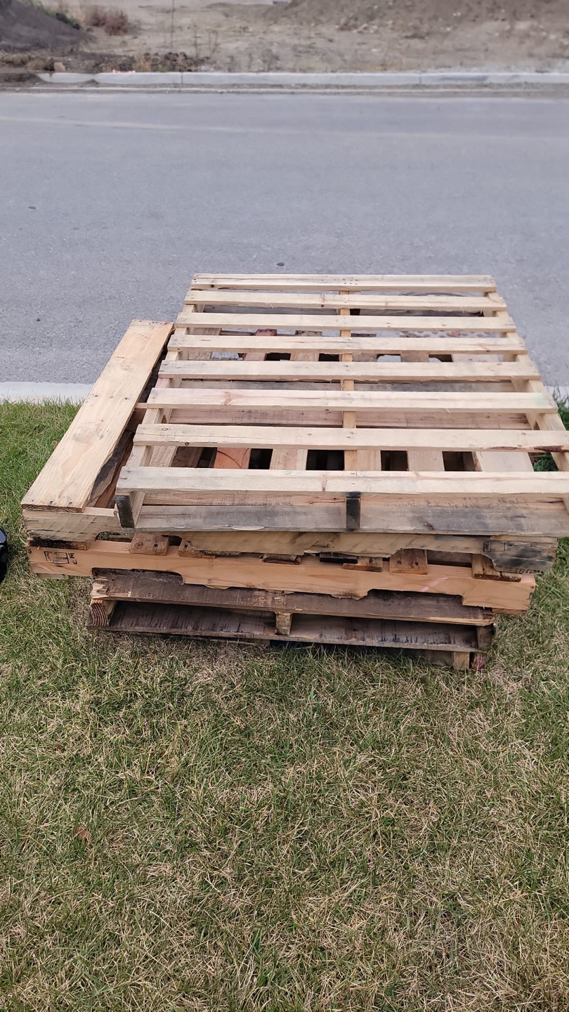 Wooden Pallet