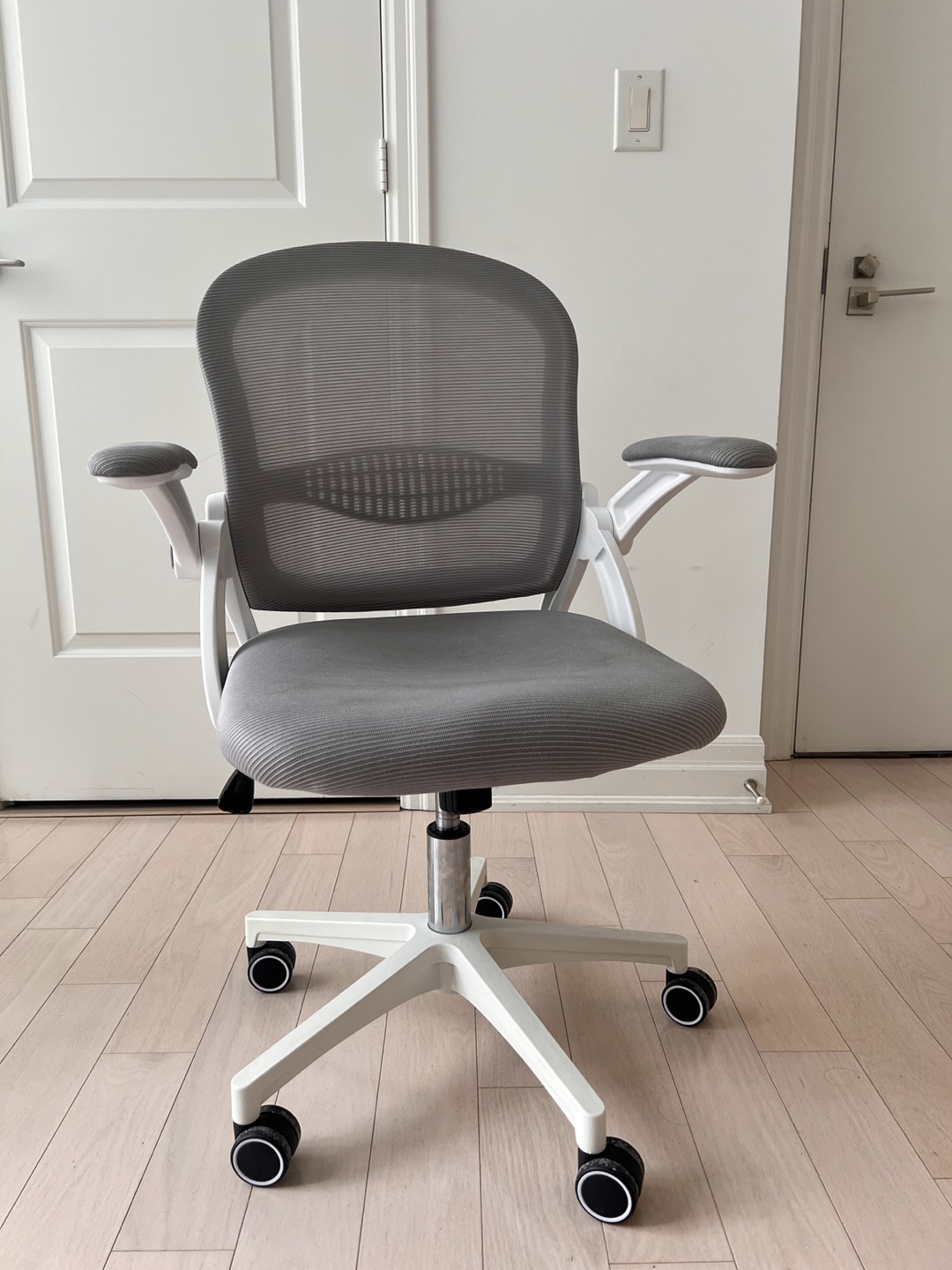 Office Chair with Mesh Back and Adjustable Arms