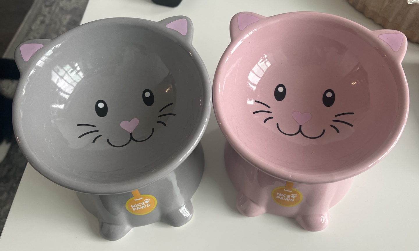 Cat Food Bowls - Set of 2