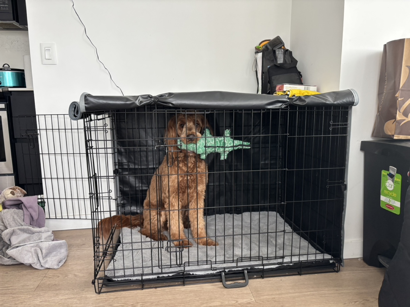 Dog Crate with Cover