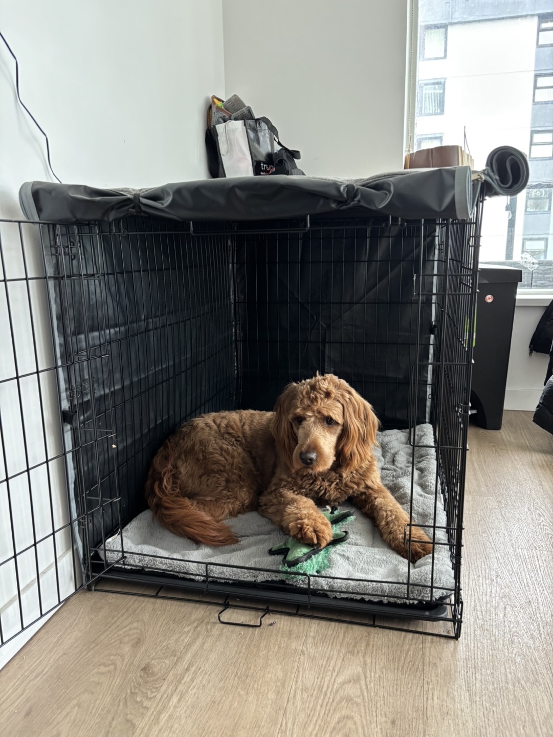 Dog Crate with Cover - photo 2