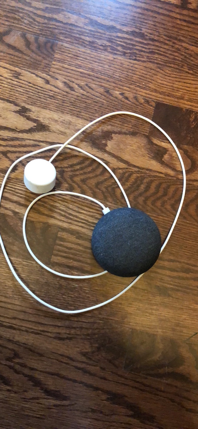 Google Home Mini (1st gen)