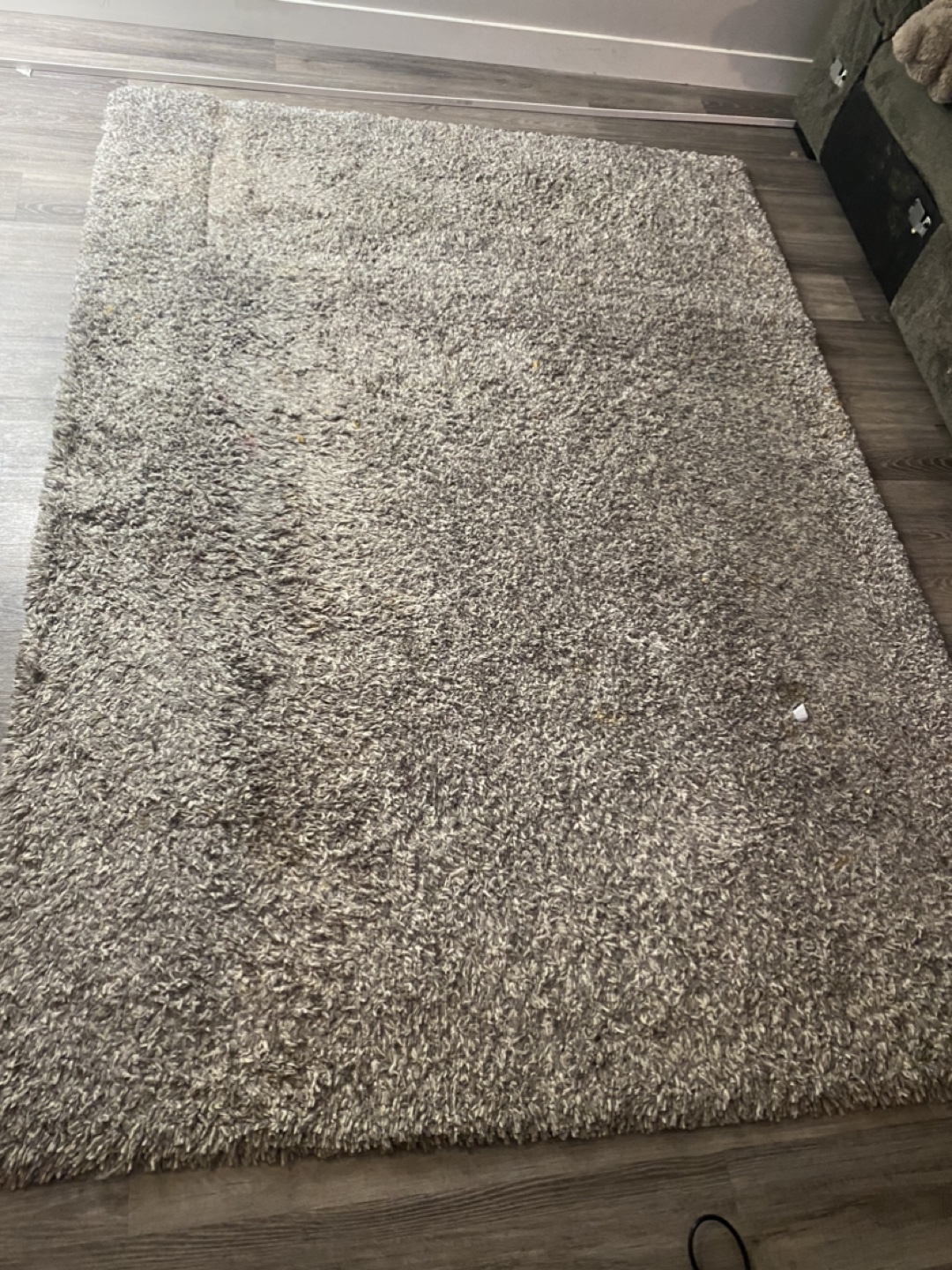 Grey Shag Rug from Costco - photo 2
