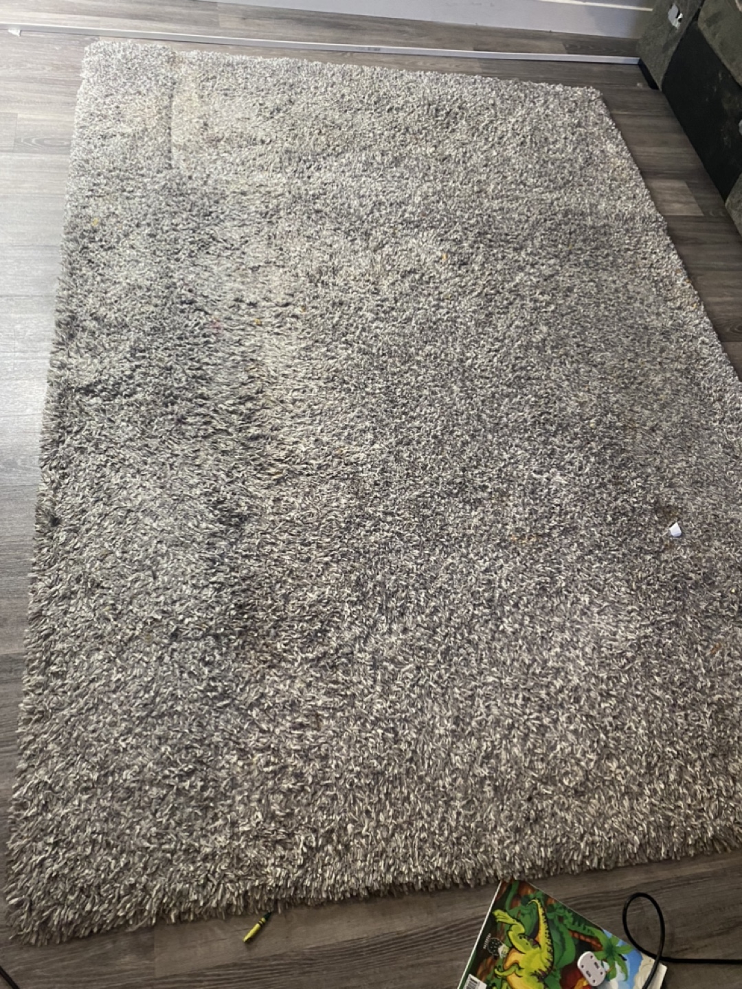 Grey Shag Rug from Costco