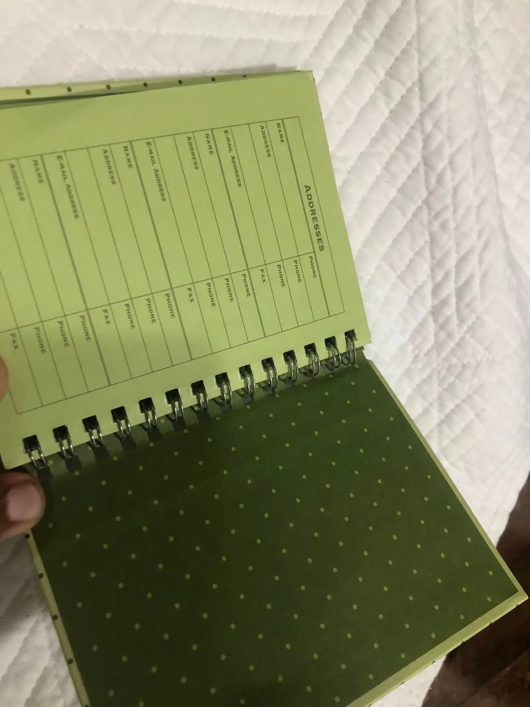 Green polka dot Address Book image indicator(3)