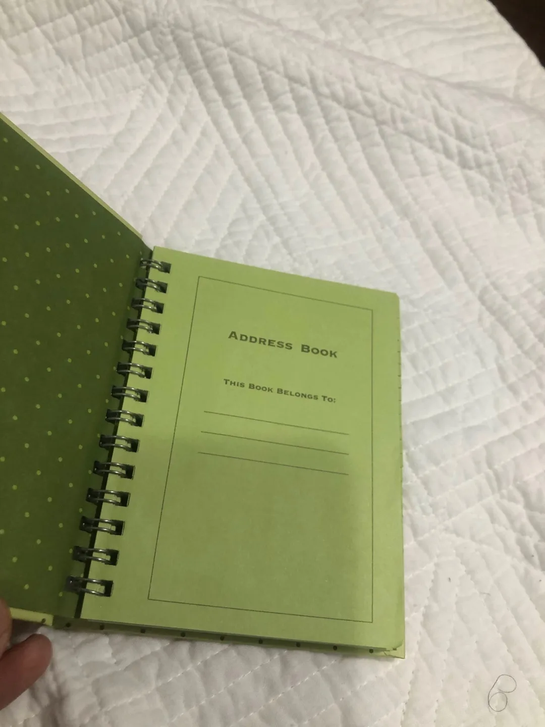 Green polka dot Address Book image indicator(2)