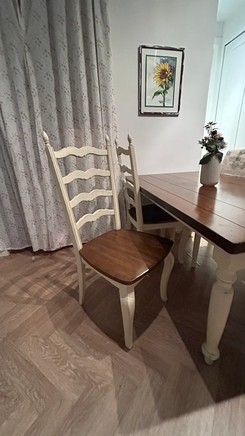 Vintage table and Dining chair set image indicator(3)