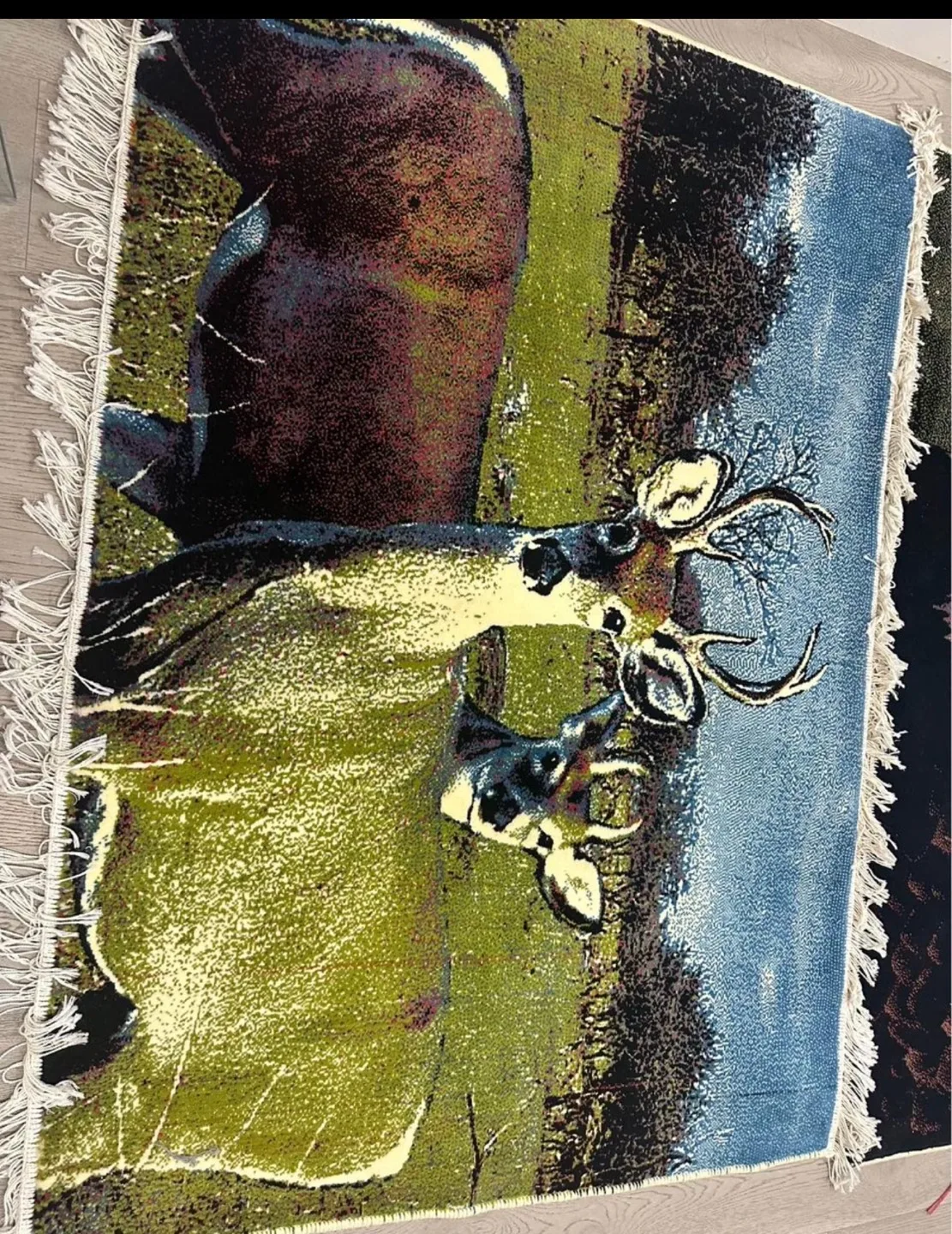 2x Wall Tapestries image indicator(3)