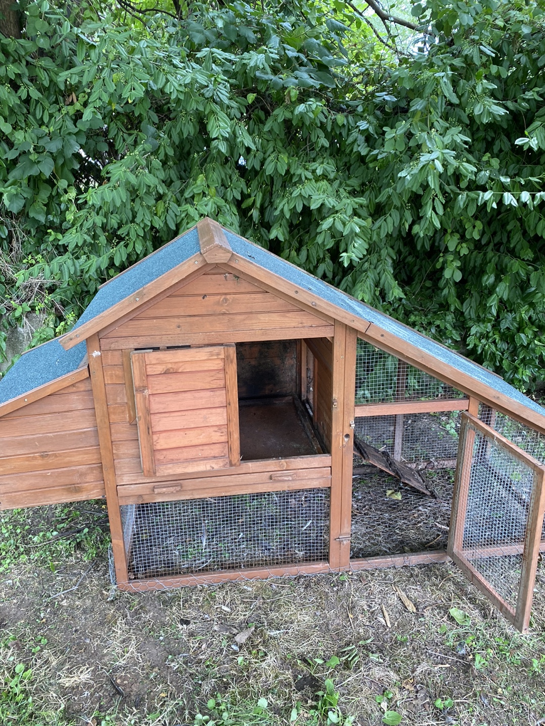 Chicken Coop