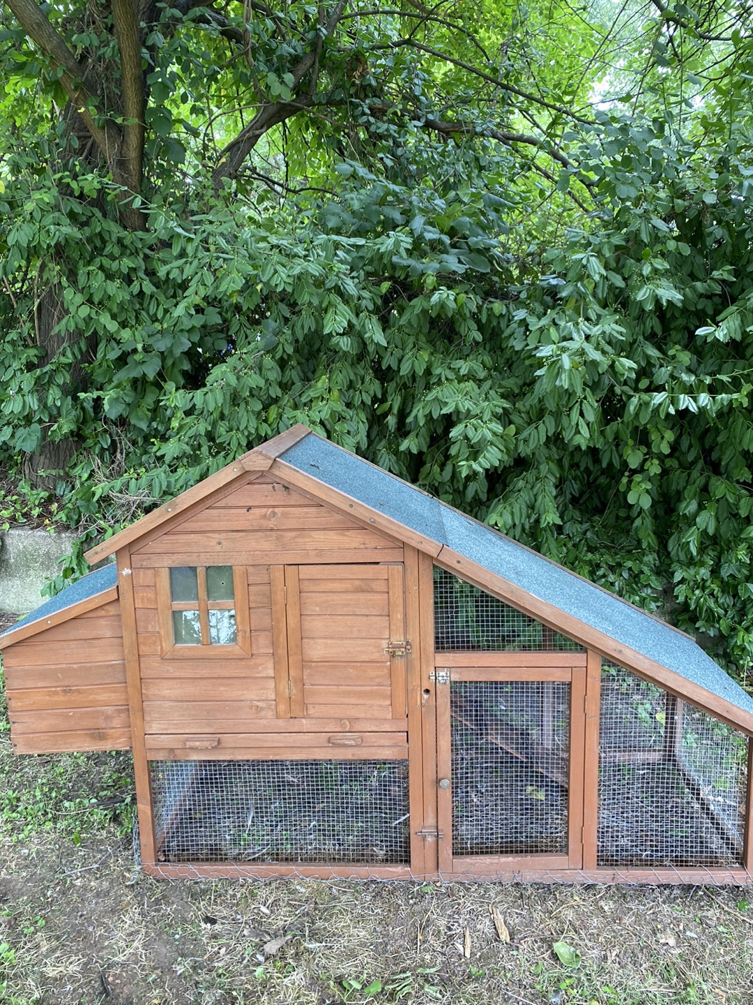 Chicken Coop - photo 4