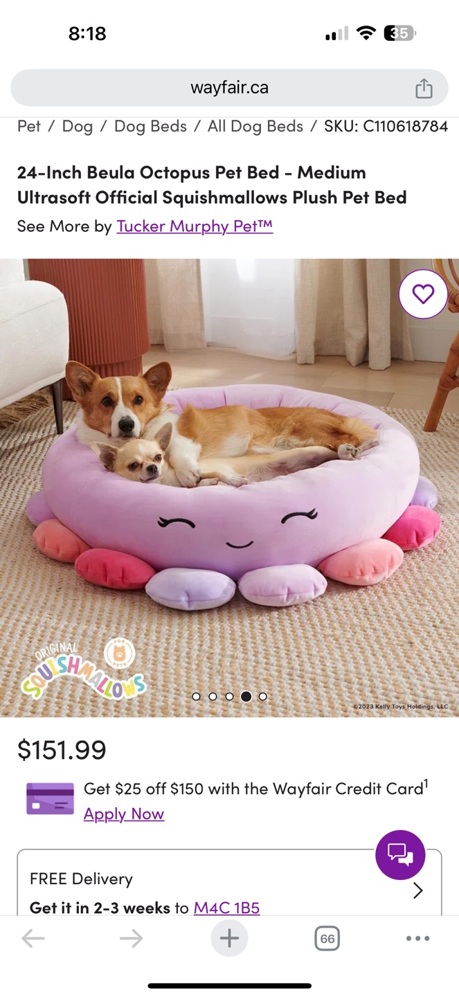 Squishmallows Plush Pet Bed - photo 2