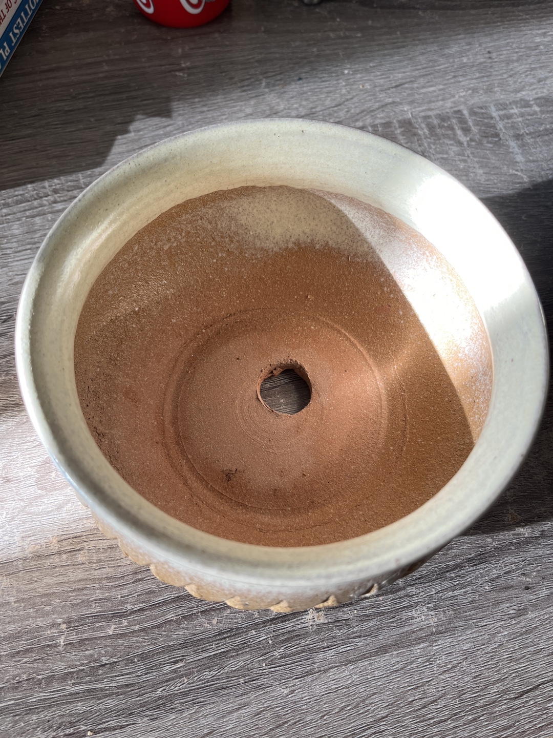 Free Planter - photo 2