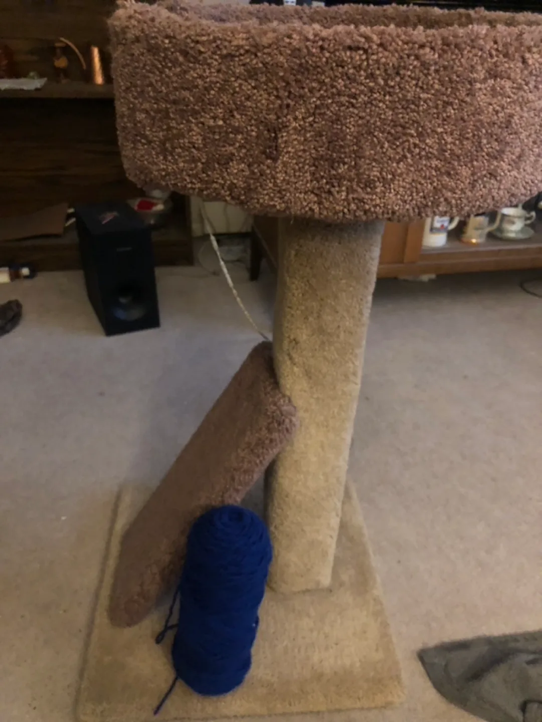 Cat Tree used image indicator(2)