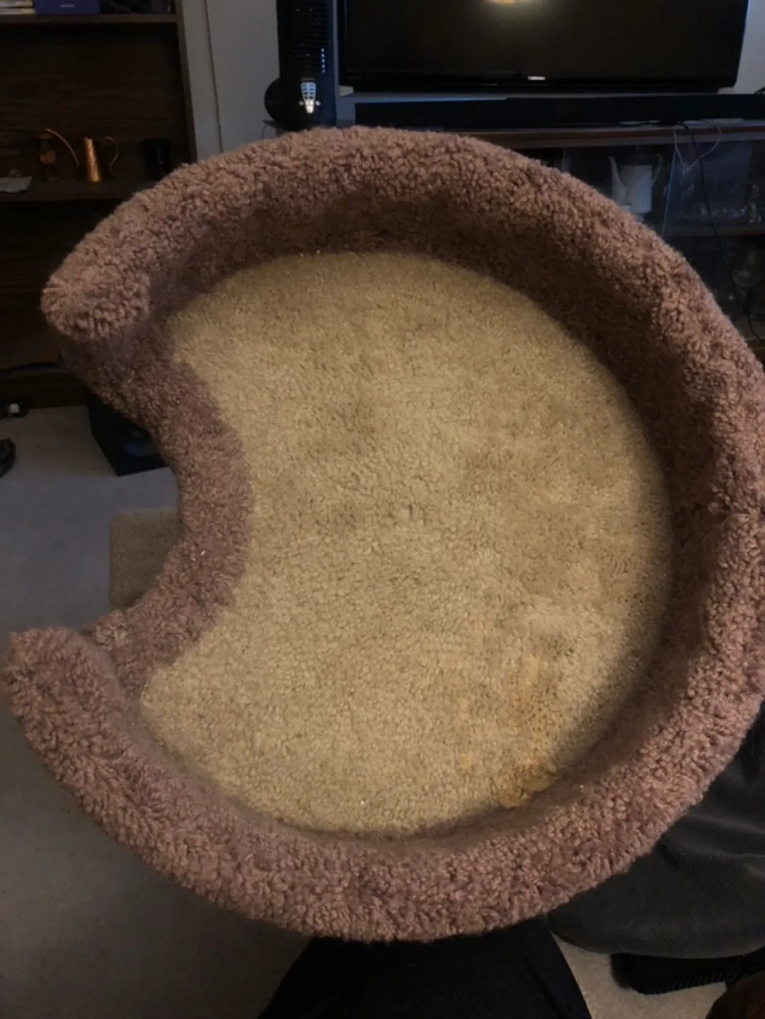 Cat Tree used image indicator(3)