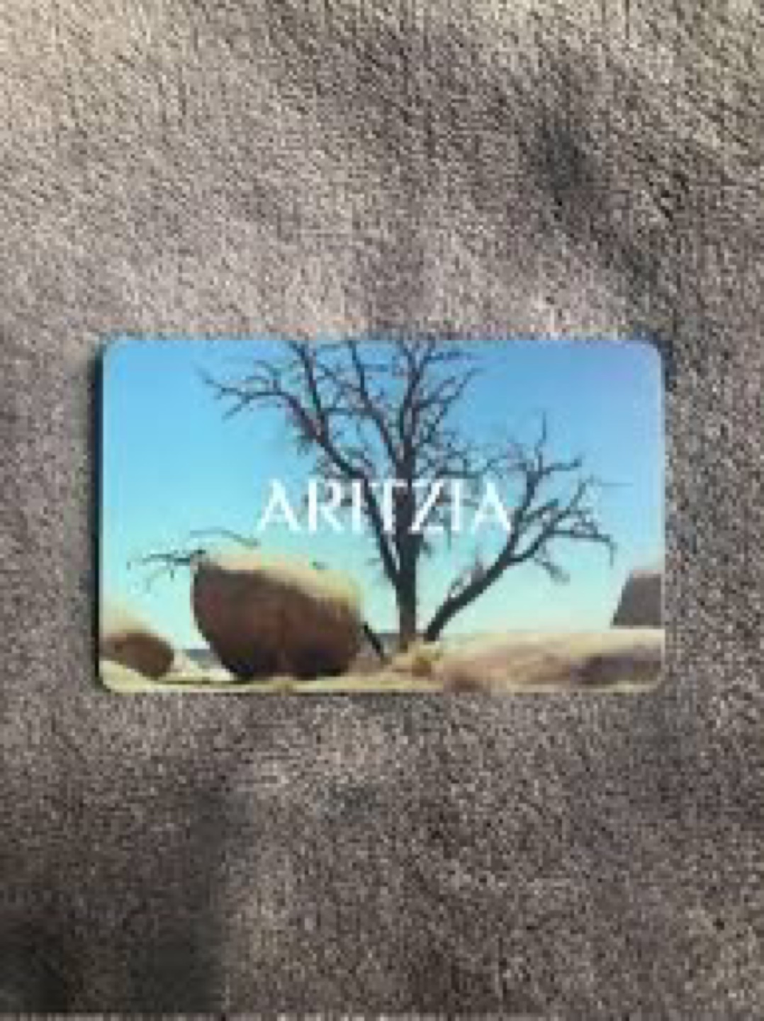 Aritzia Gift Card $200