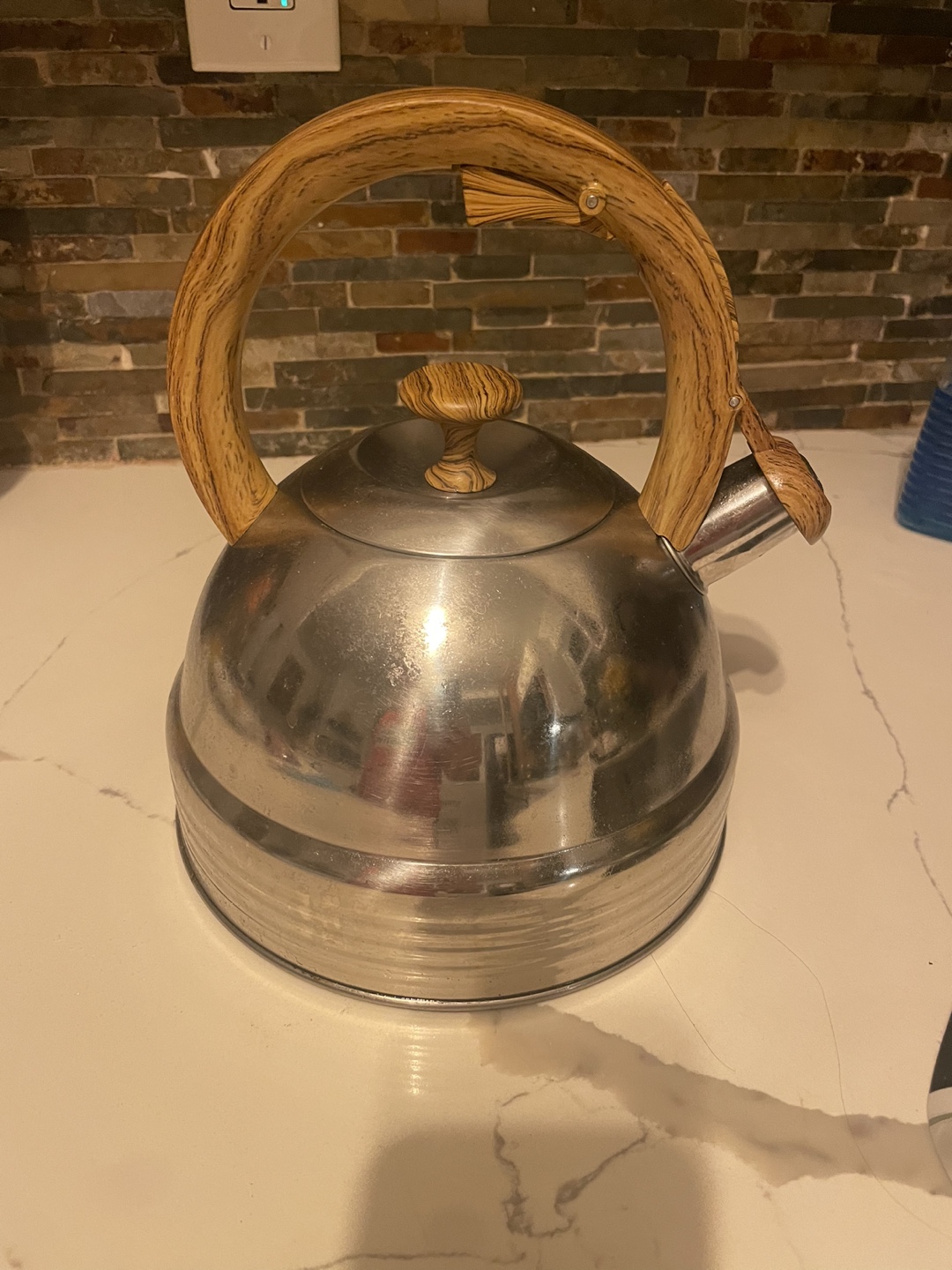 Stainless Steel Tea Kettle with Wood Handle