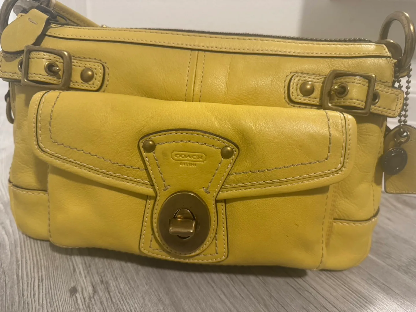 Coach Leather Shoulder Bag image indicator(3)