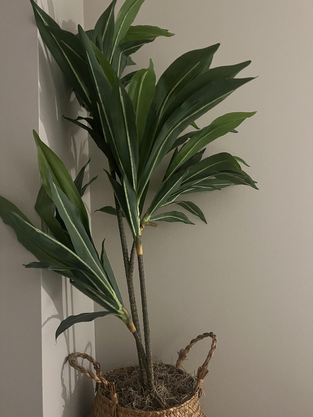 Artificial plant in woven basket - photo 3